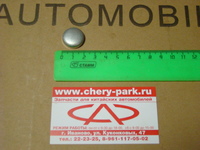 Заглушка блока цилиндров (d=20 мм.) Chery